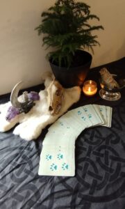 A wolf spirit reading.